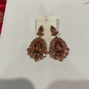 Elegant Brown Crystal Pierced Earrings